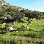 Bed & Breakfast Lu Lisandru