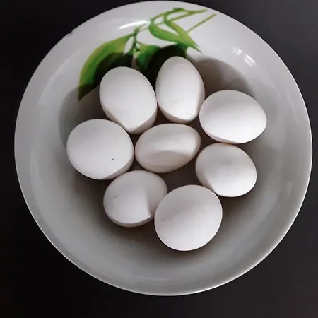 Bed and breakfast Lu Lisandru Abbiadori